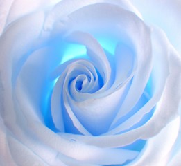 Obrazy na Szkle  niebieska róża