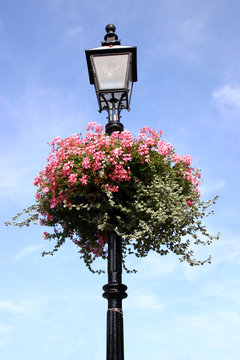 Lamp-Post Images – Browse 515,528 Stock Photos, Vectors, and Video ...