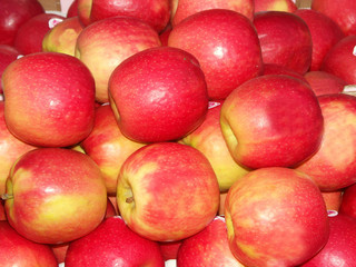 Fototapeta na wymiar pippin jabłkami