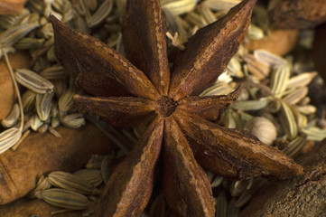 star anise