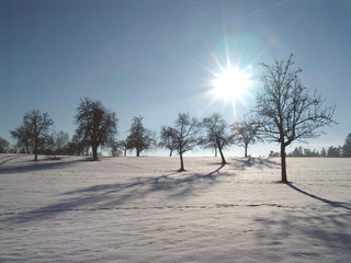 winter - 1