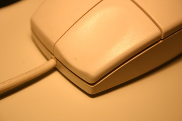 plain mouse