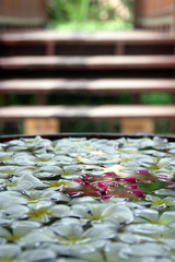 decorative flowers floating in water
