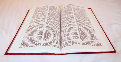 holy bible