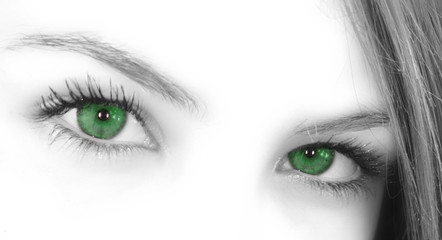 Naklejka premium green eyes