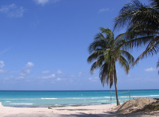 cuban beach