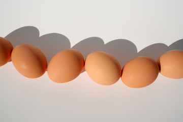 fiveandahalfeggs