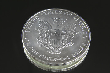 fine silver one dollar