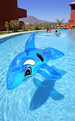 inflatable dolphin on blue swimming pool