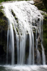 Fototapeta premium cascade dans une forêt