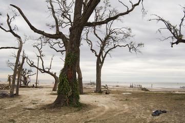 hurricane racked beach