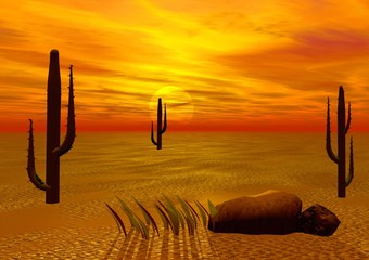 beautiful sunset in desert