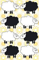 sheep