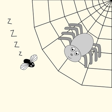 spider and fly