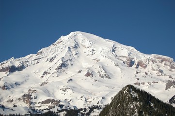 Mt Rainier - 511816