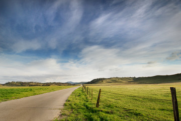 country road: landscape