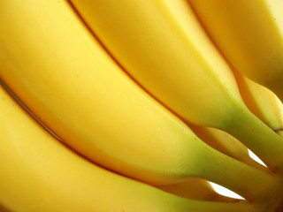 bunch of yellow bananas - 513608