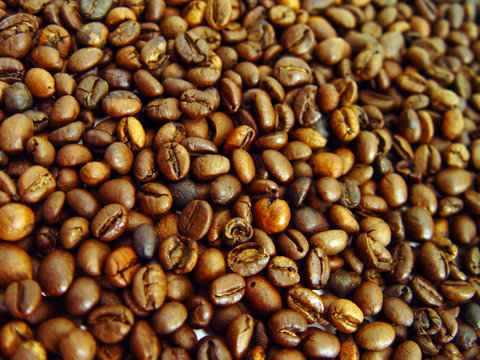 caf&eacute;