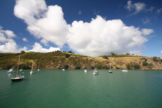 Sailboats At Waiheke Island