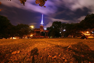 auckland park at night