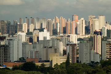 Fototapeta premium s‹o paulo