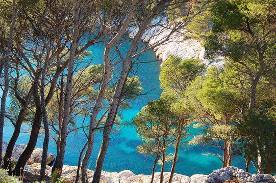 calanque de marseille