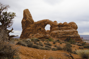 turret arch and tree © Alysta