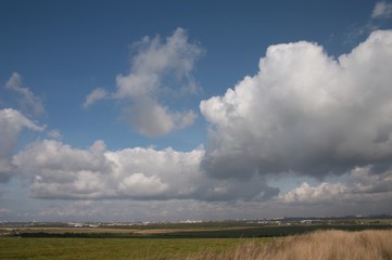 Fototapeta premium autumn meadows and sky