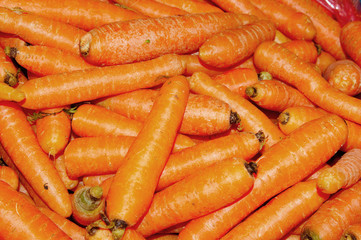 carottes 1 - 525034