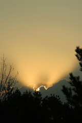 Fototapeta premium nebraska sunrise, vertical