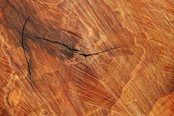 Papier Peint photo Autocollant Texture du bois de chauffage birch wood 3