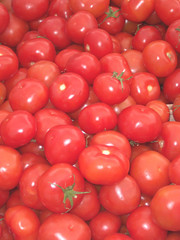 tomates