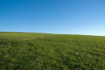 Fototapeta na wymiar blue sky, green grass