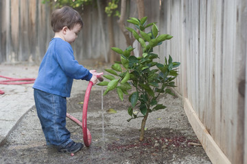 Fototapeta na wymiar boy watering tree
