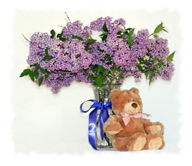 lilacs and teddy bear