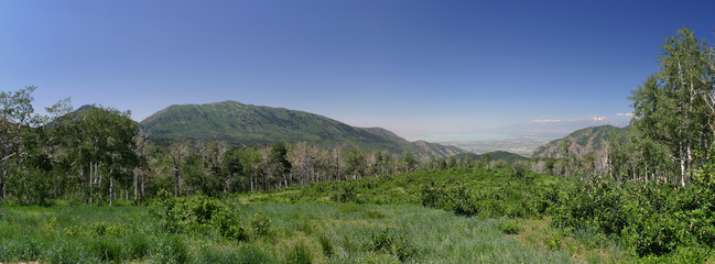 distant valley