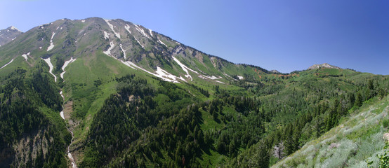 early spring along the alpine loop