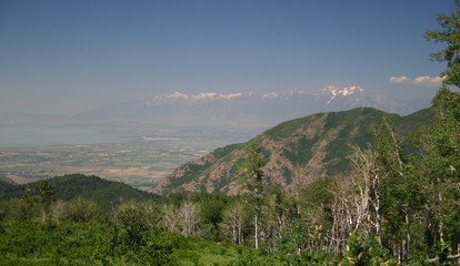 smoggy valley