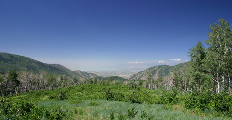 meadow and valley