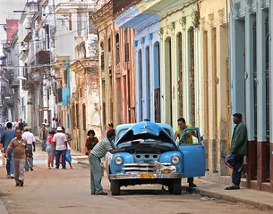 Printed roller blinds Havana stalled in havana