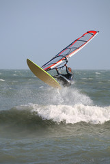 windsurfer