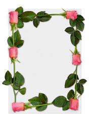 rose frame 1