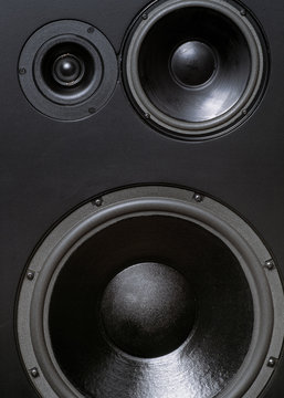 large studio loudspeaker