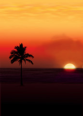 palm against a setting sun..
