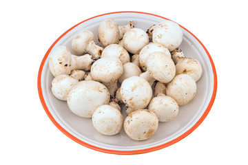 champiñones