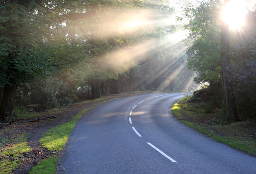 the road less travelled