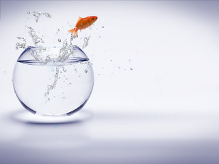 poisson rouge sautant d'un aquarium