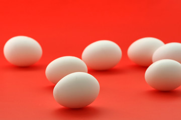 eggs