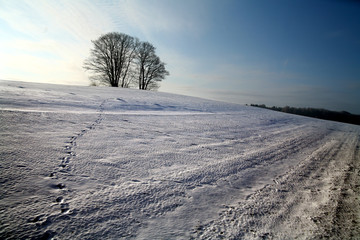 Fototapeta na wymiar winter in denmark