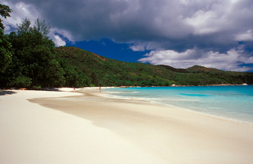 beach paradise